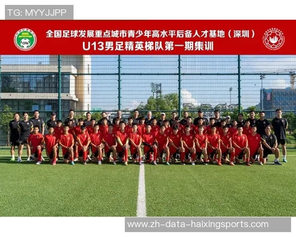 足球的魅力与激情探讨：从场上技艺到球迷文化的全方位解析